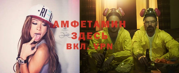 индика Баксан