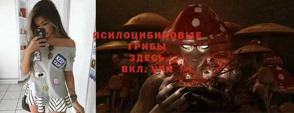 бошки Саяногорск