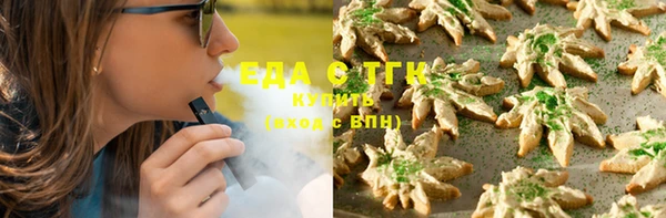 индика Баксан