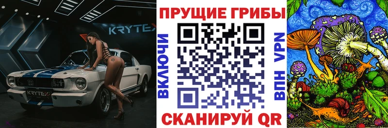 Галлюциногенные грибы Psilocybine cubensis  где найти   kraken вход  Костерёво 